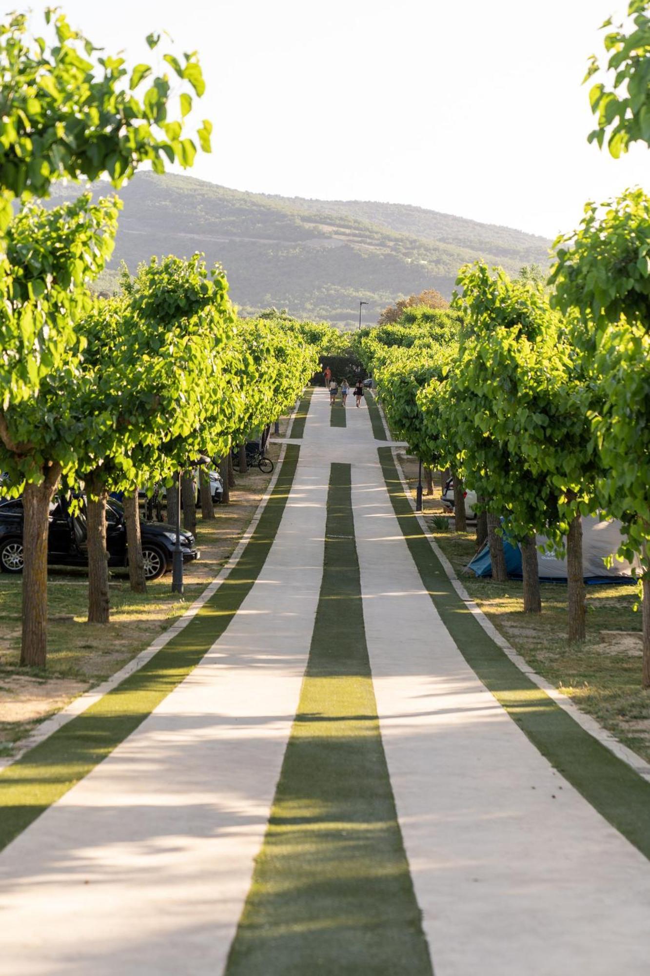 Vall D'Ager Resort & Camping Экстерьер фото